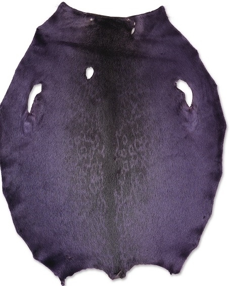 Ringed seal - Chinese Violet LH - C