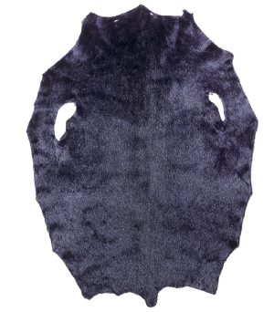 Ringed Seal - Deep Purple LH - B