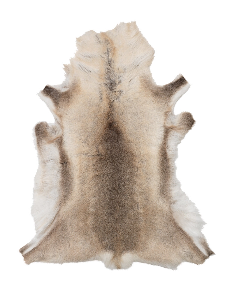 Reindeer Hide