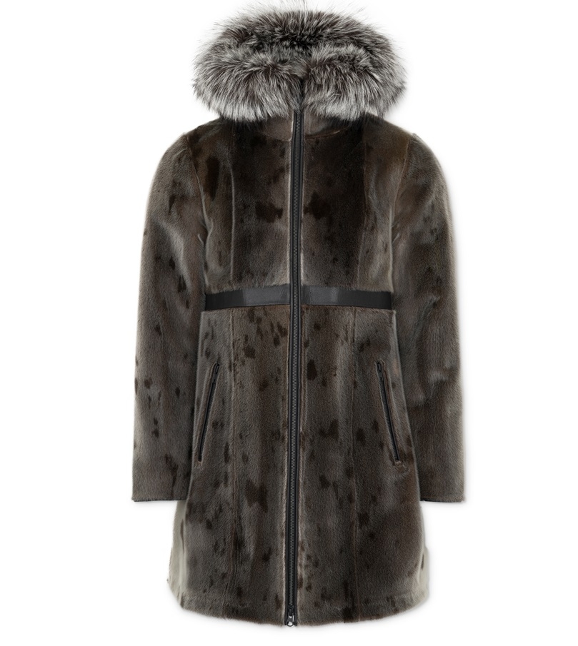96 Fashion, Harp Seal, Nature