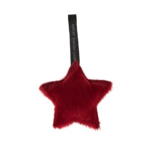 Christmas decoration - Star, Red