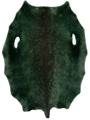 Ringed Seal - Dark Kiwi LH - C