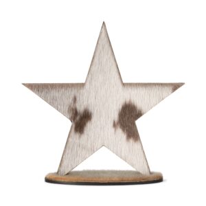 Wood Decoration - Star, Natural