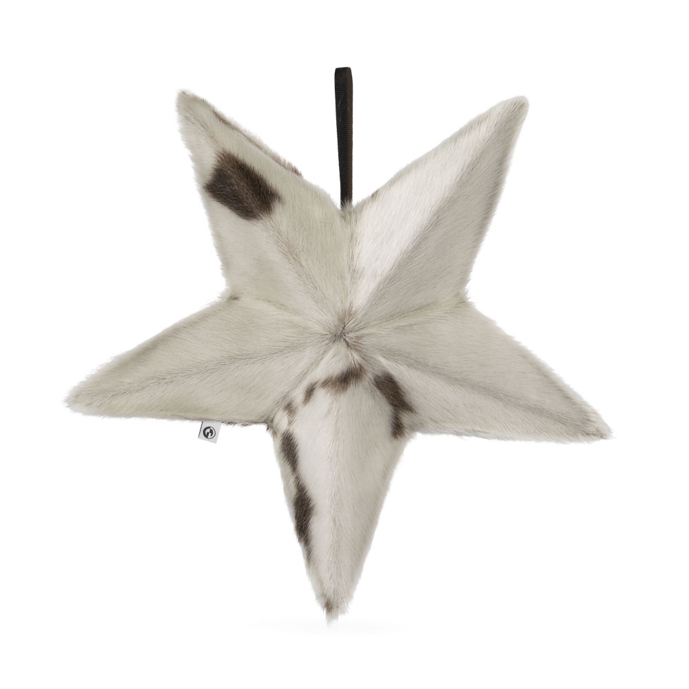 Large 3D Star with Filling - Natural