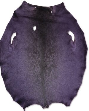 Ringed seal - Chinese Violet LH - D