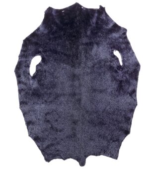 Ringed Seal - Deep Purple KH - B
