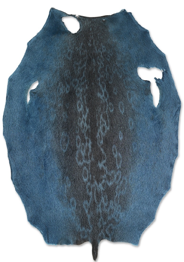 Ringed Seal - Arctic Blue LH - D