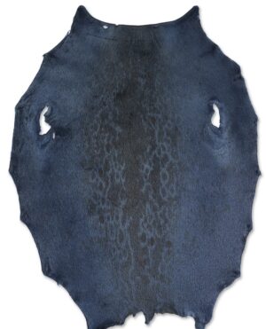 Ringed Seal - Blueberry KH - C
