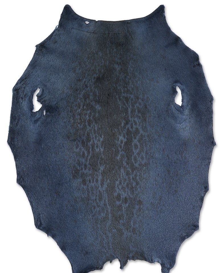 Ringed Seal - Blueberry KH - D