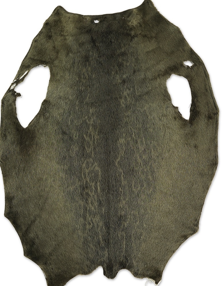 Ringed Seal - Army LH - D