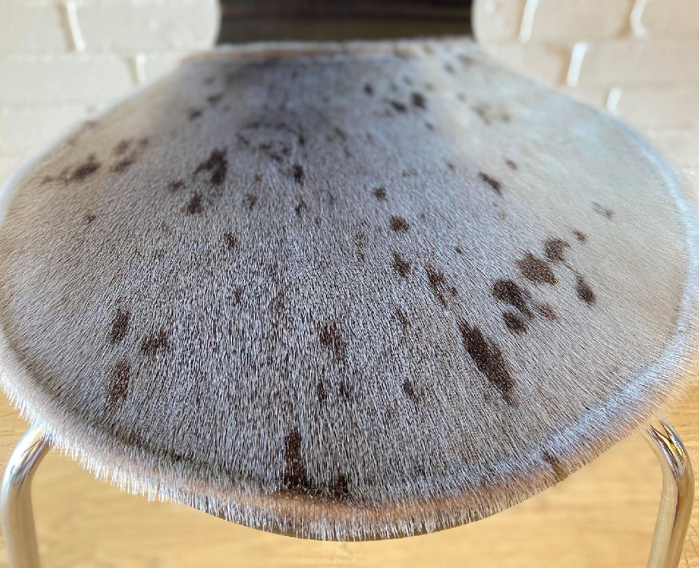 Cushion, Seal Skin, Natural Harp - Image 4