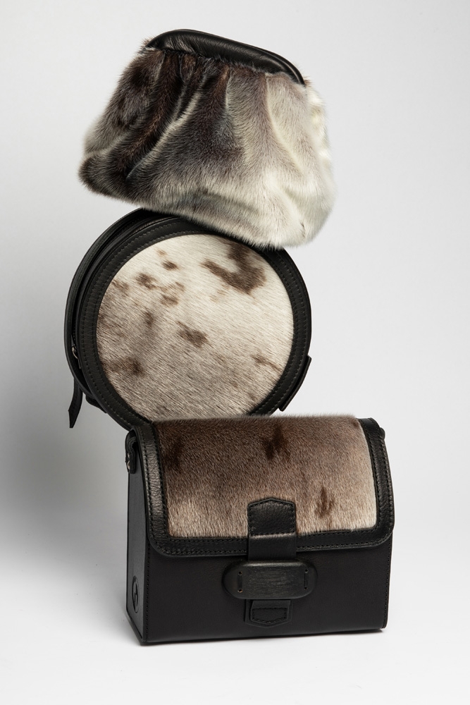 Woody - Nature - Image 6