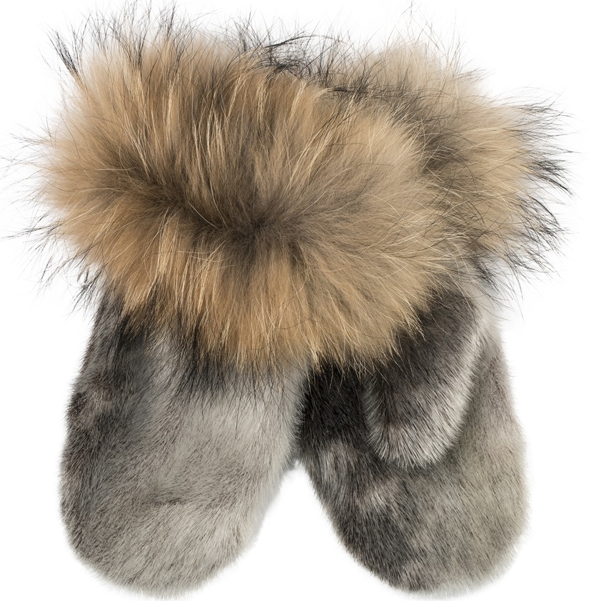 Sermeq Mittens, Ringed Seal Natural