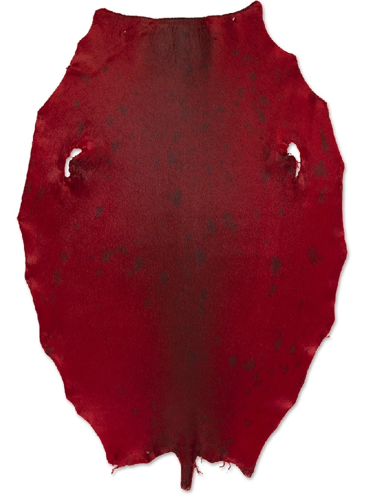 Greenland seal - Red - D