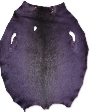 Ringed seal - Chinese Violet LH - C