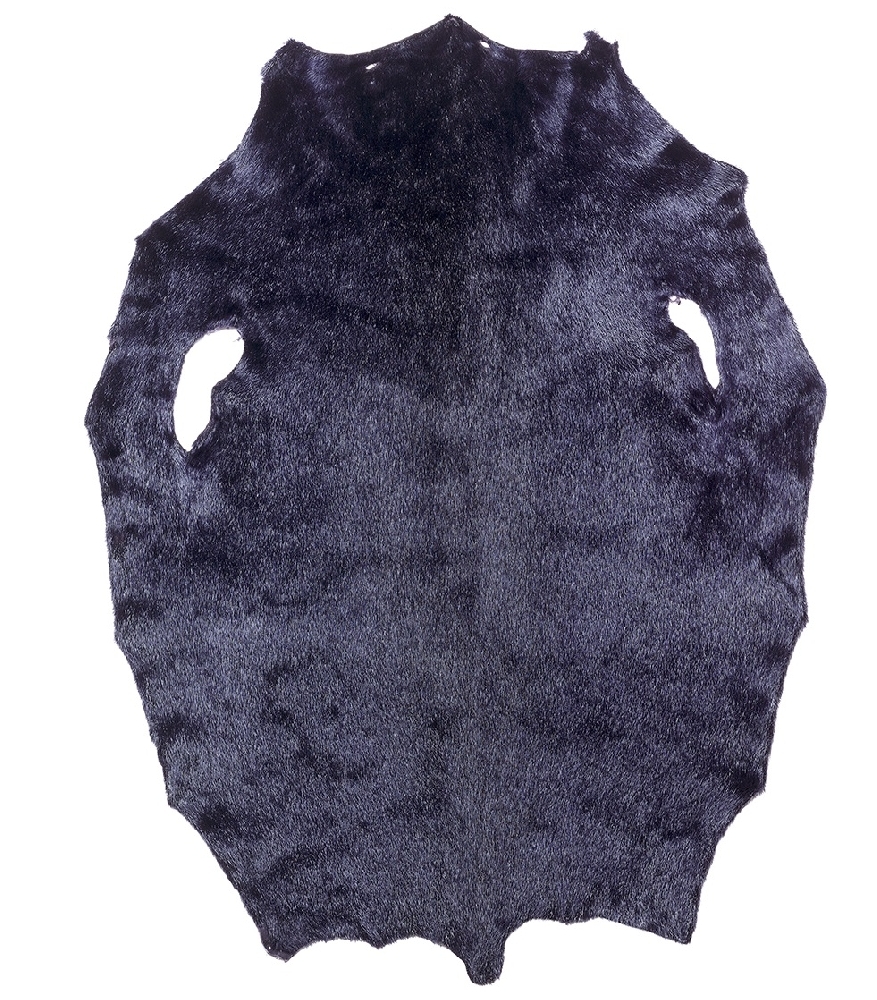 Ringed Seal - Deep Purple LH - B