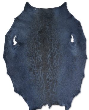 Ringed Seal - Blueberry KH - C