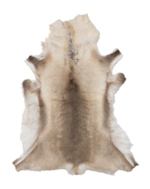 Reindeer Hide