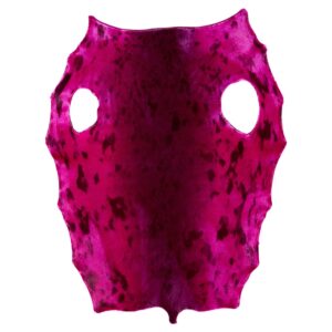 Greenland Seal - Pink - E/Rejected
