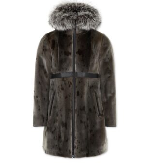96 Fashion, Harp Seal, Nature