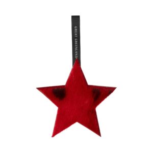 Wooden Christmas Decoration - Star, Red