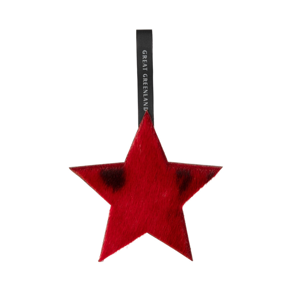 Wooden Christmas Decoration - Star, Red