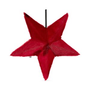 Large 3D Star with Filling - Red