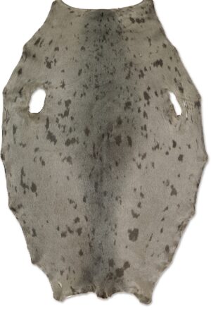 Greenland Seal - Beige - D