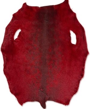 Ringed Seal - Red KH - B