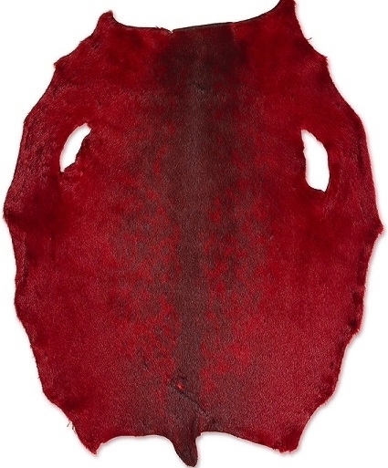 Ringed Seal - Red KH - B