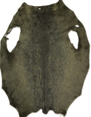 Ringed Seal - Army LH - D