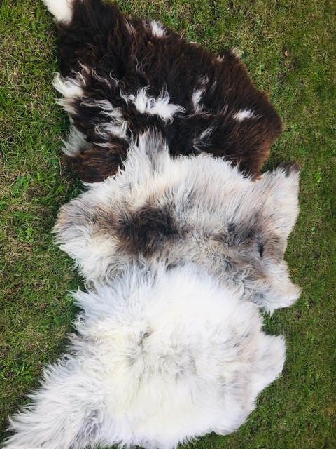 Chromfrit Lammeskind, Broget - Image 3