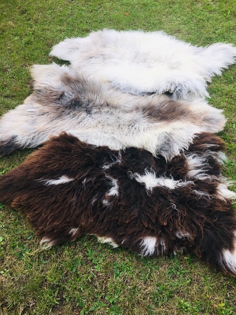 Chromfrit Lammeskind, Broget - Image 4