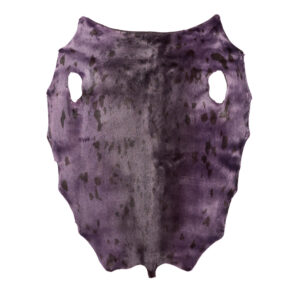 Grønlandssæl - Chinese Violet - C